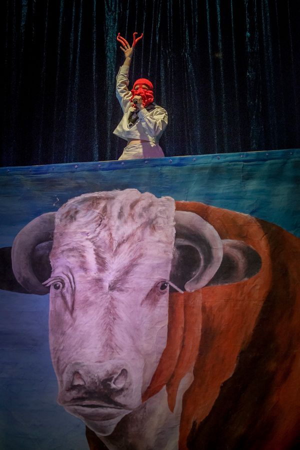Die Stiere, Theaterhaus Jena – Szenenfoto 36